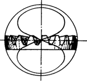 �X݆�����g(sh��)�Z(y��)�F�X݆����(zh��n)�p�����X݆�����X݆��