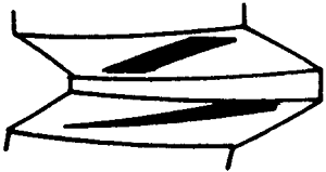 �F�X݆�͜�(zh��n)�p�����X݆�g(sh��)�Z(y��)�ӹ�������݆�X���|���z���ԇ�(y��n)